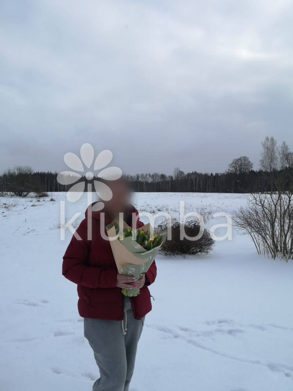 Ziedu piegāde Latvia  (tulpes)