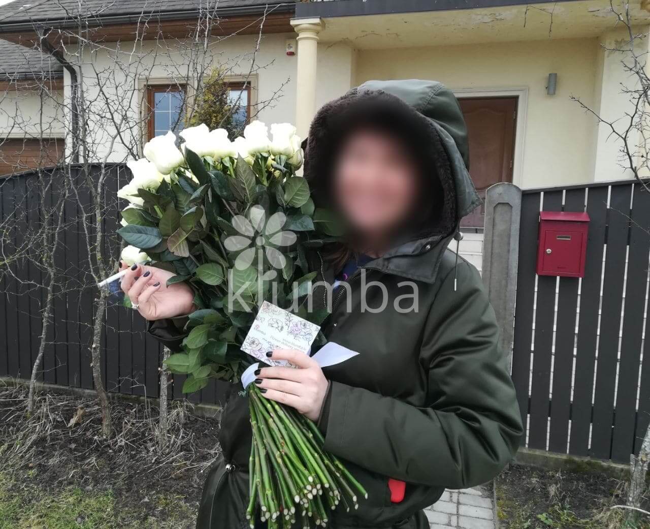 Deliver flowers to Mārupe (white roses)